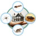 Pest Control Service Bowie MD logo